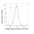 KD-Validated CD49e Rabbit mAb (20 μl)