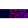 KD-Validated CSK Rabbit mAb (20 μl)