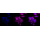 KD-Validated GSK3A Rabbit mAb (20 μl)
