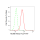 KD-Validated NUMB Rabbit mAb (20 μl)
