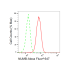 KD-Validated NUMB Rabbit mAb (20 μl)
