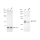KD-Validated NUMB Rabbit mAb (20 μl)
