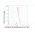 KD-Validated GSS Rabbit mAb (20 μl)