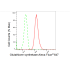 KD-Validated GSS Rabbit mAb (20 μl)