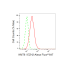 KD-Validated KMT6 Rabbit mAb (20 μl)