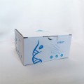 Mouse Epidermal Growth Factor (EGF) ELISA Kit (48T)