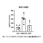 人SCF/GM-CSF/IL3高表达NSG小鼠（每只）