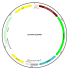 Adenovirus GCaMP6f (200 µl)