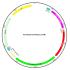 Adenovirus mCherry-PA-Rac1-T17N (200 µl)
