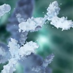 Controls/Tag Antibodies