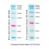 Prestained Protein Marker, 55-320 kDa (2× 250μl)