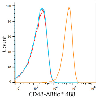 Rabbit IgG isotype control