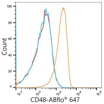 Rabbit IgG isotype control