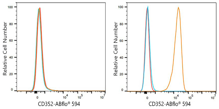 Rabbit IgG isotype control