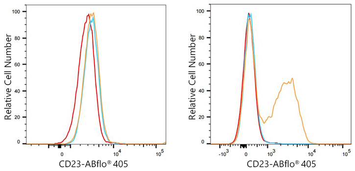 405 Rabbit IgG isotype control