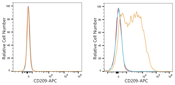 APC Rabbit IgG isotype control