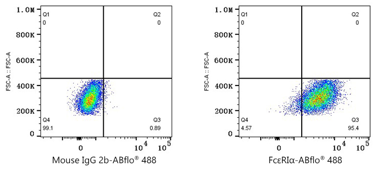 488 Mouse IgG2b isotype control