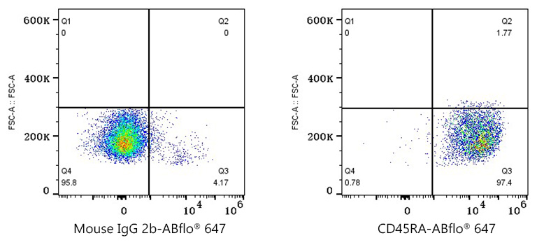Mouse IgG2b isotype control
