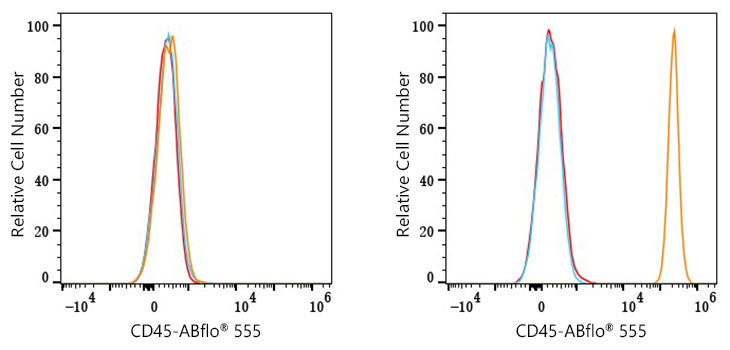 555 Rabbit IgG isotype control