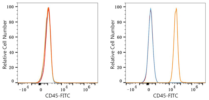 FITC Rabbit IgG isotype control
