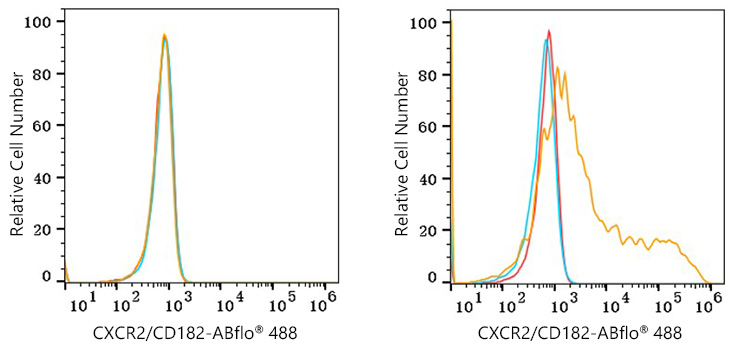 488 Mouse IgG 2c isotype control