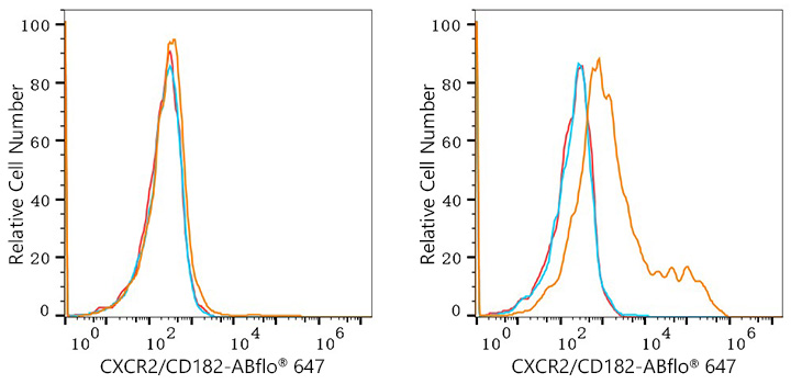 647 Mouse IgG 2c isotype control