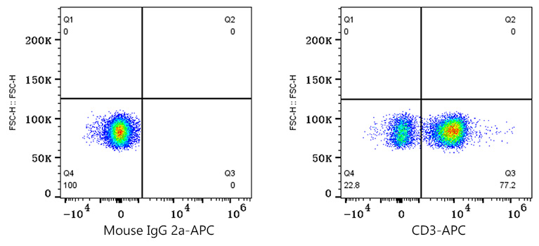 APC Mouse IgG2a isotype control