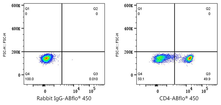 Rabbit IgG isotype control