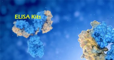 elisa kits