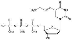 5-Aminoallyl-dUTP