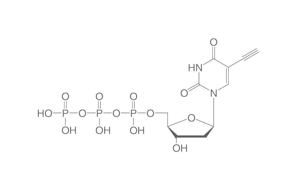 5-Ethynyl-dUTP