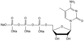 5-Methyl-CTP