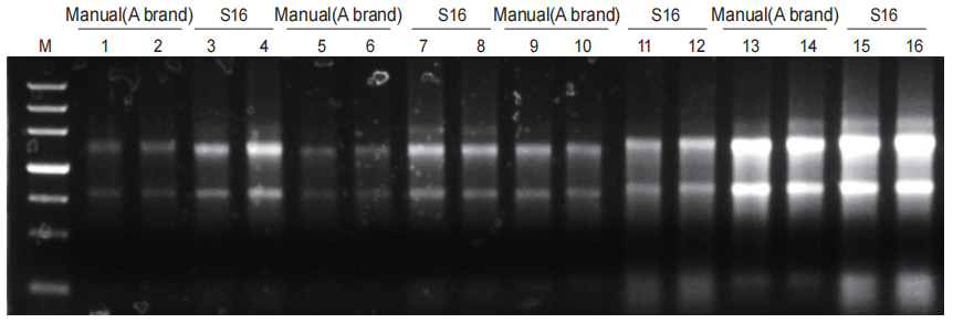 tissue RNA extraction kit