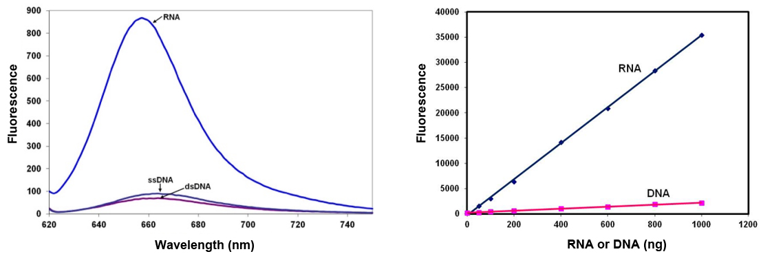 RNA HS Kit