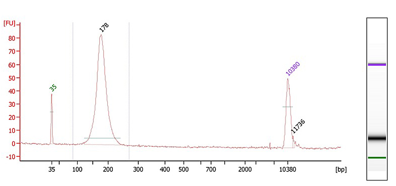 cfdna extraction kit