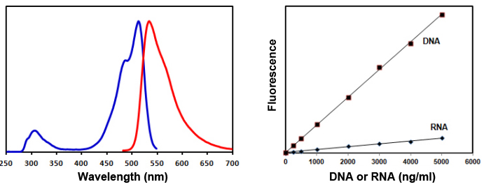 dsDNA br Assay Kit