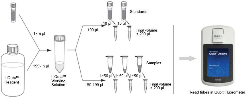 qubit ssdna assay kit