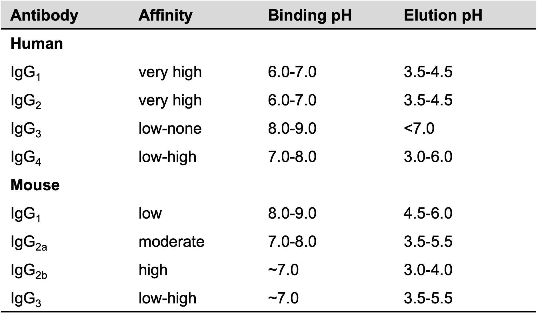 rProtein A FF Column