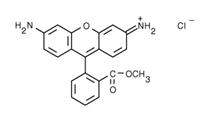 Rhodamine 123