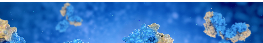 Recombinant Rabbit mAb