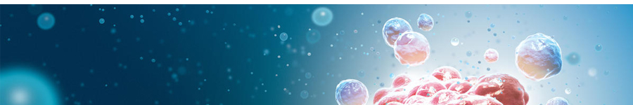 Exosome Isolation Reagents