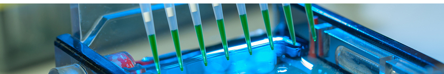 LiPure™ RNA Extraction Kits