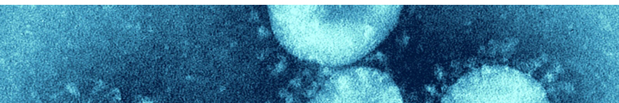 LiPure™ Viral DNA/RNA Extraction Kits