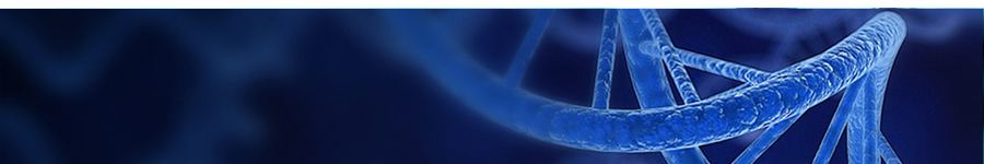 LiScript™ One-Step RT-qPCR Kits
