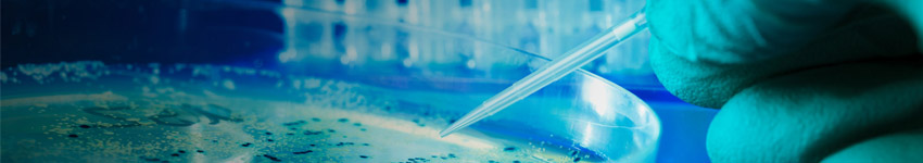 mRNA-LNP Reagents